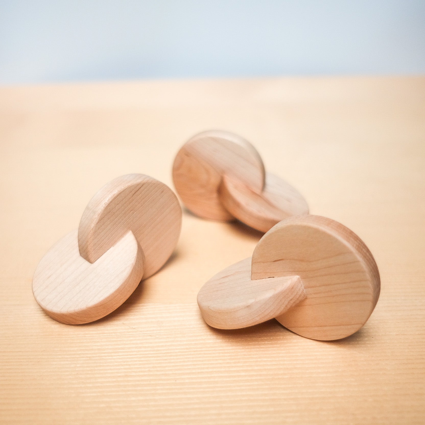 Interlocking Discs – Woodmarkph